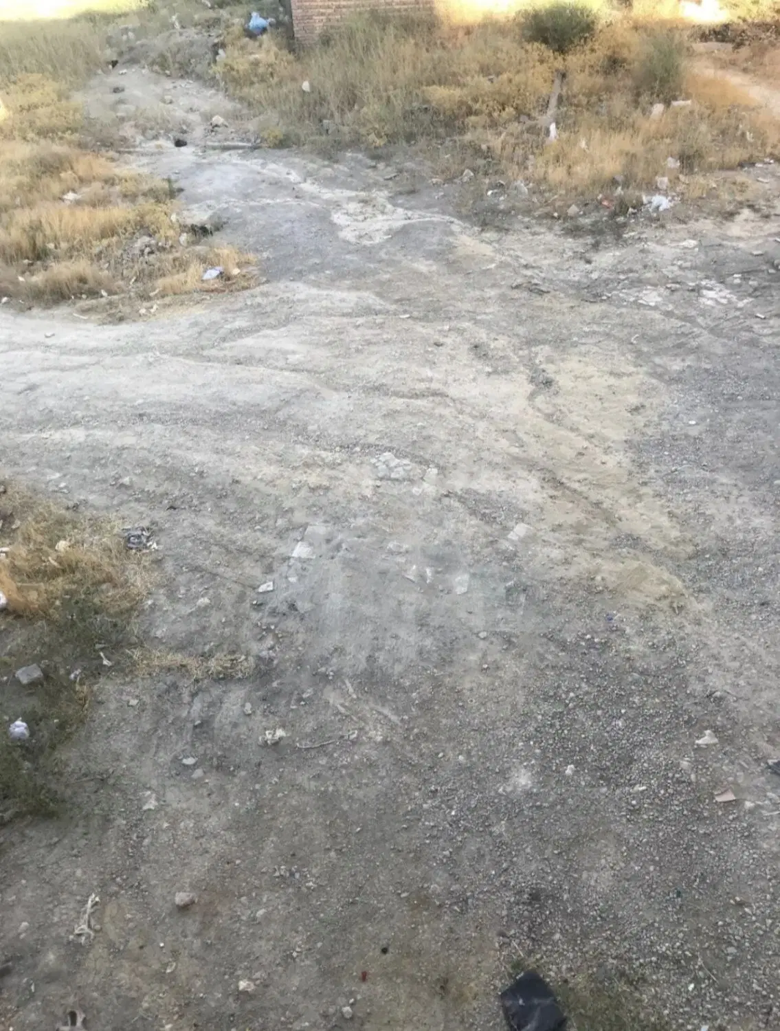 یک قطعه زمین در بادکی