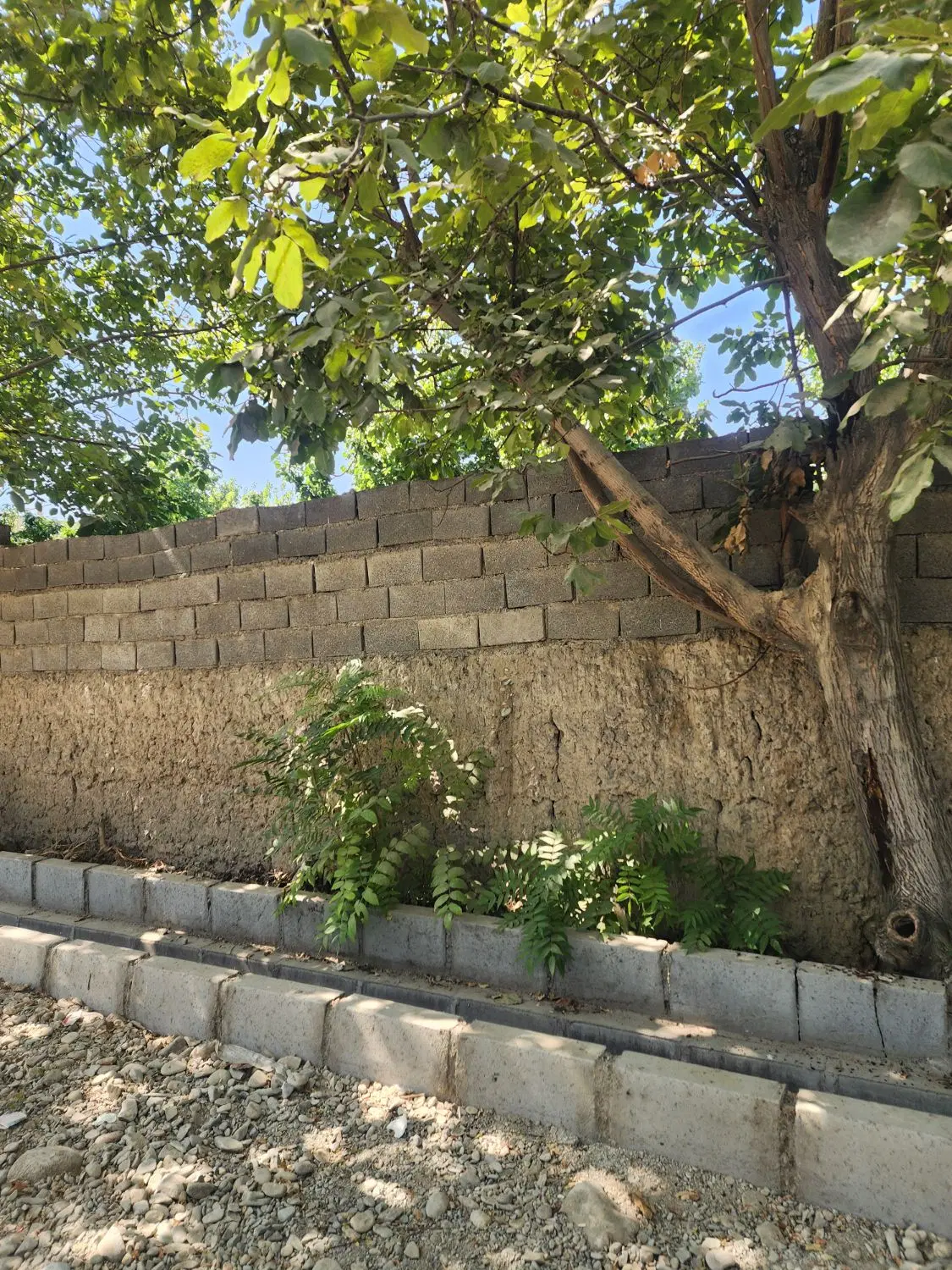 باغچه نقلی