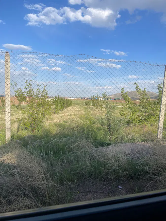فروش باغ و زمین زراعی
