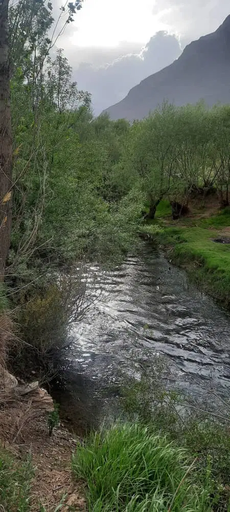 باغ ویلا گاوخانه