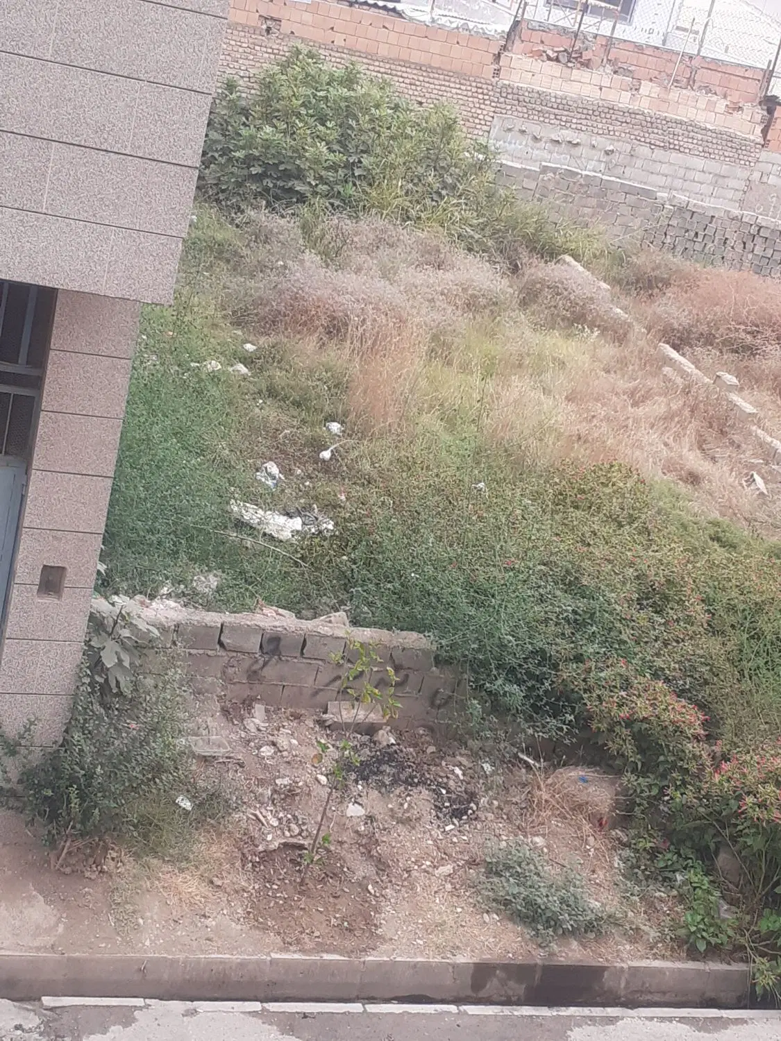 زمین طالقانی سوم