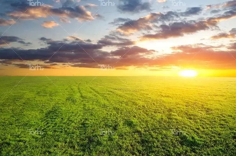 زمین کشاورزی دارای سند بر جاده سراب نیلوفر