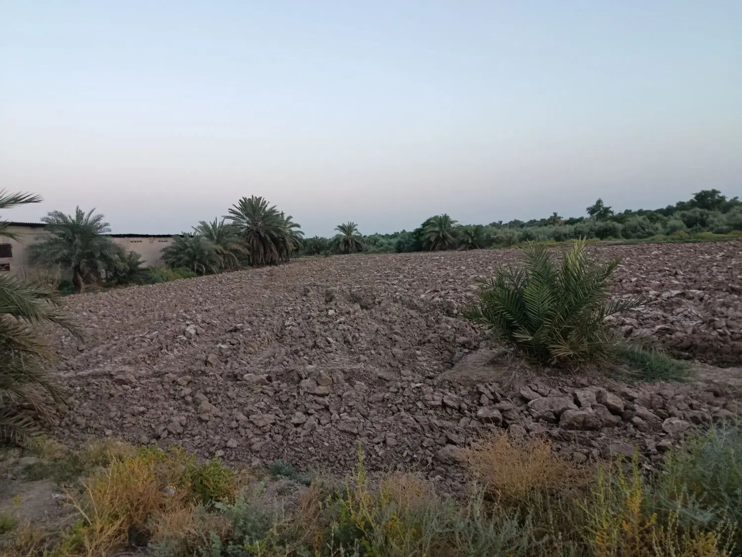 اجاره زمین کشاورزی
