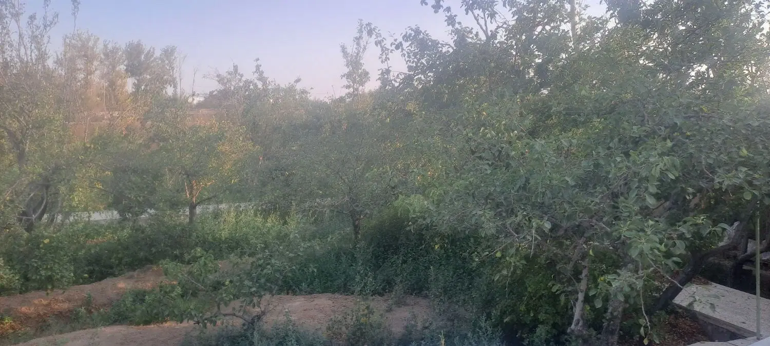 باغ ۱۵۰۰ متری کوشک