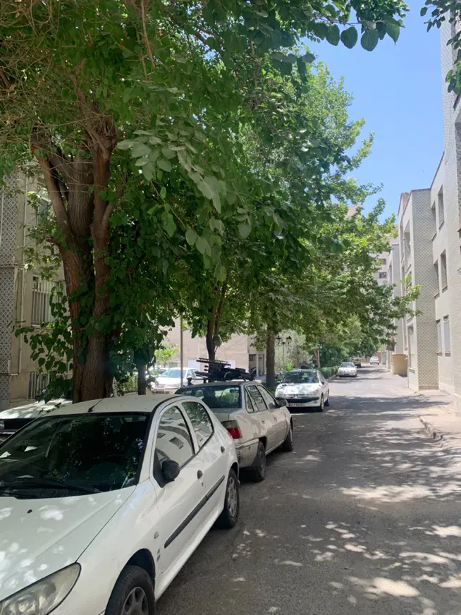 سردار جنگل مجتمع شقایق