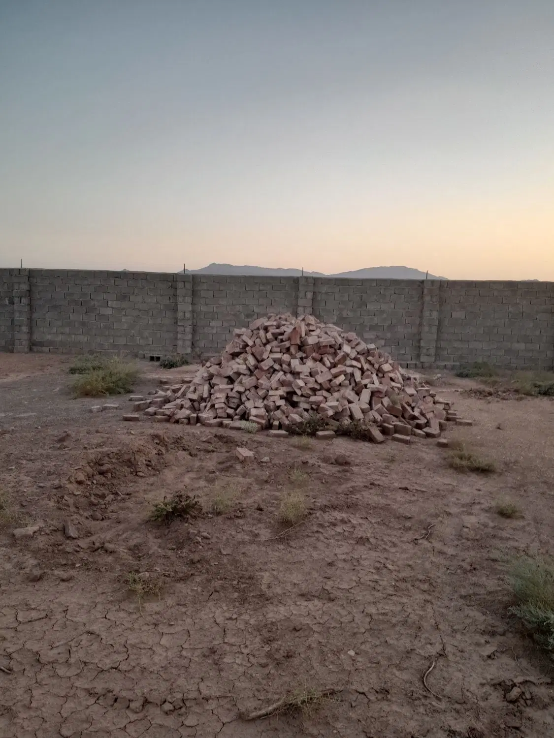 زمین پروانه گلخانه
