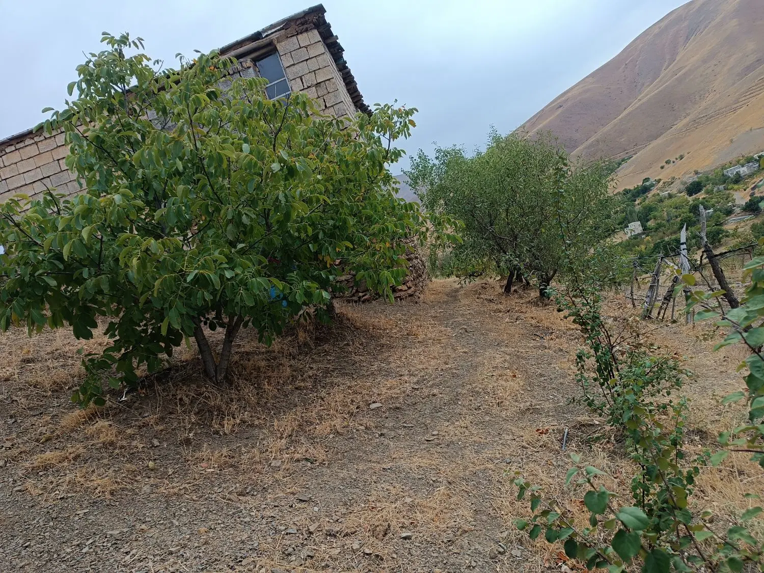 باغ .زمین کشاورزی .خانه‌باغ