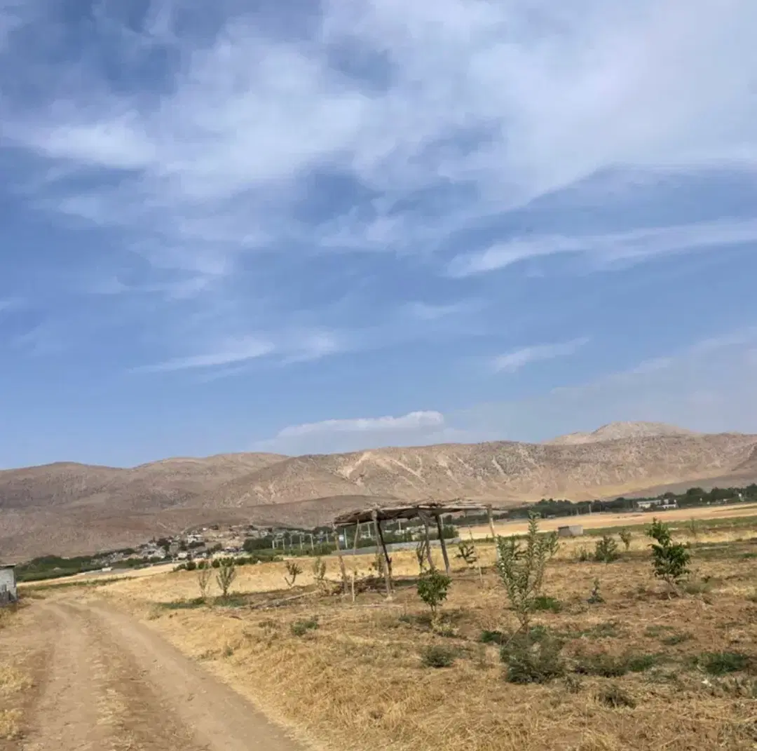 زمین