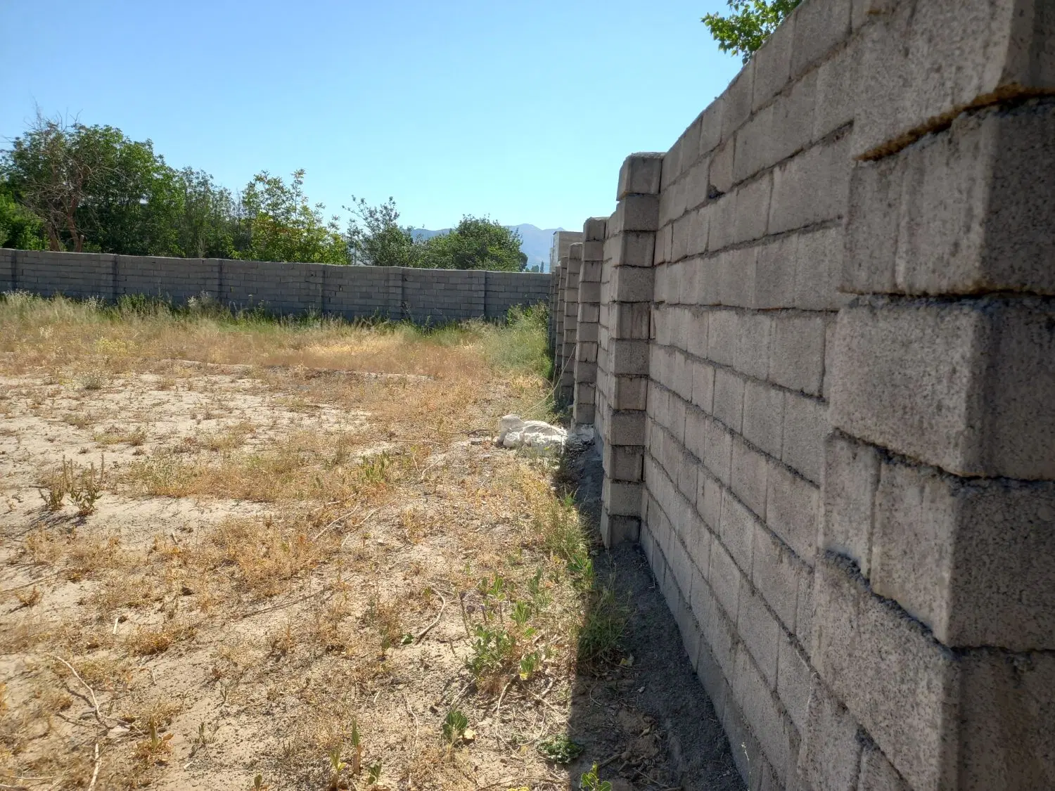 اجاره  زمین برای گل خانه
