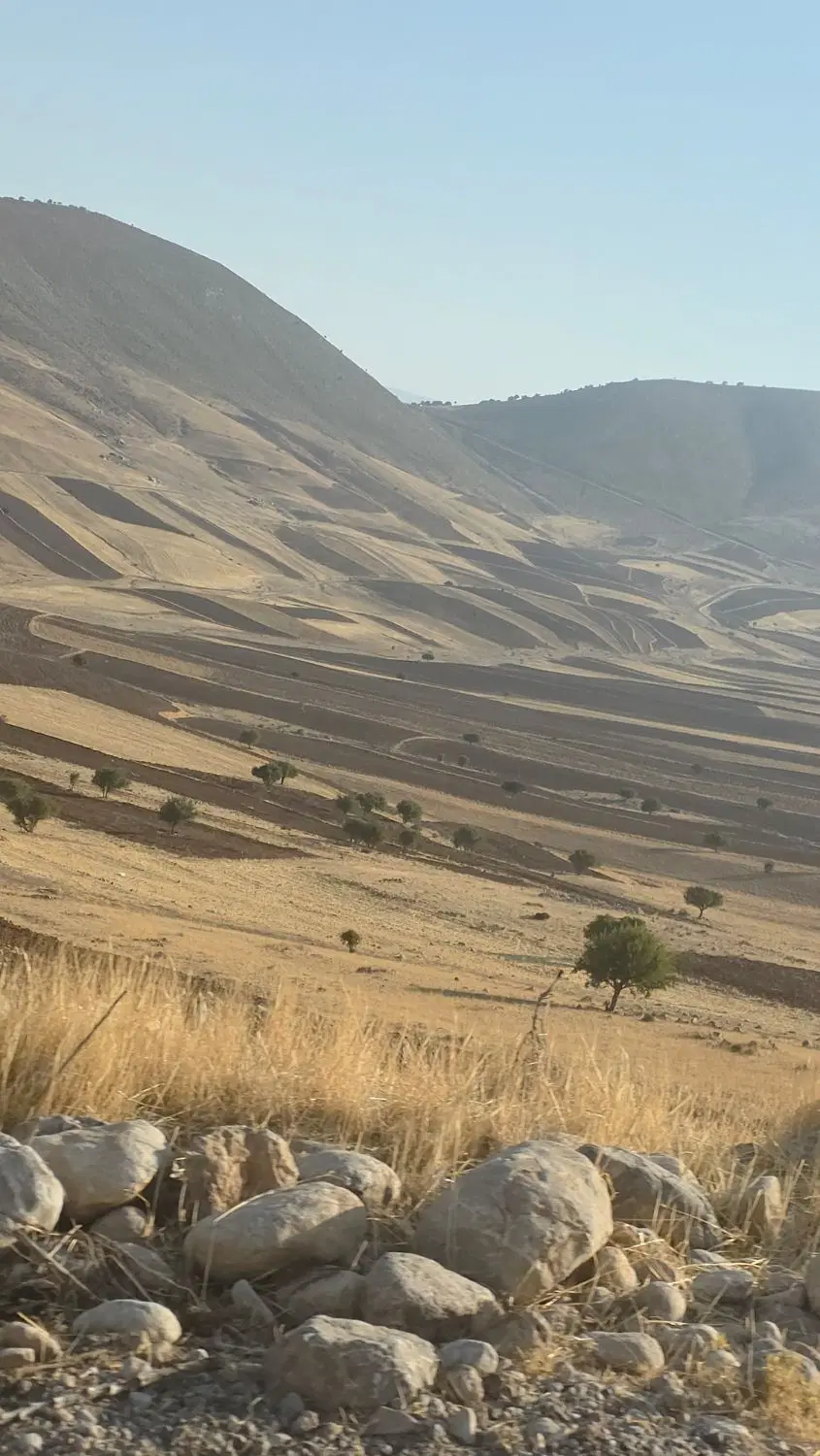 زمین دونبش پشت دانشگاه باهنر تک برگ