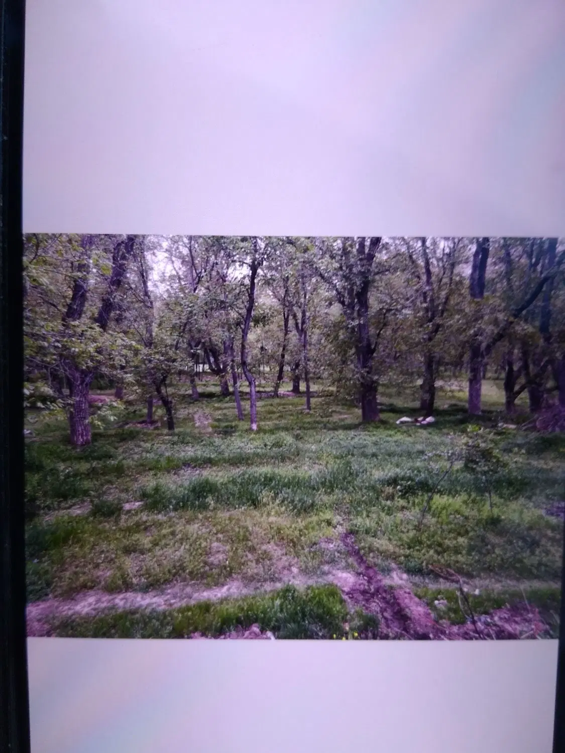 زمین ۳۵۰متر کنار خیابان