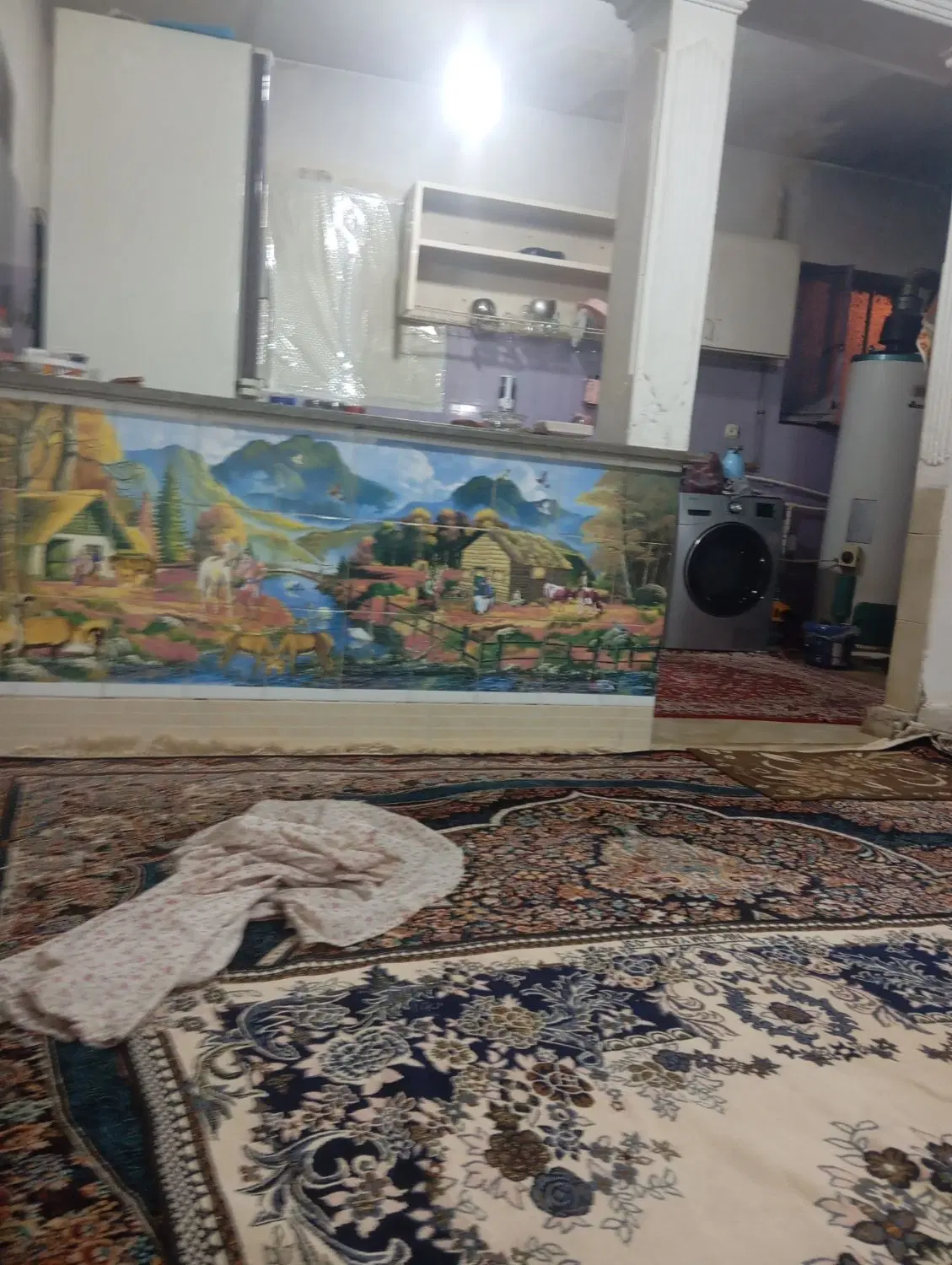 زمین مسکونی