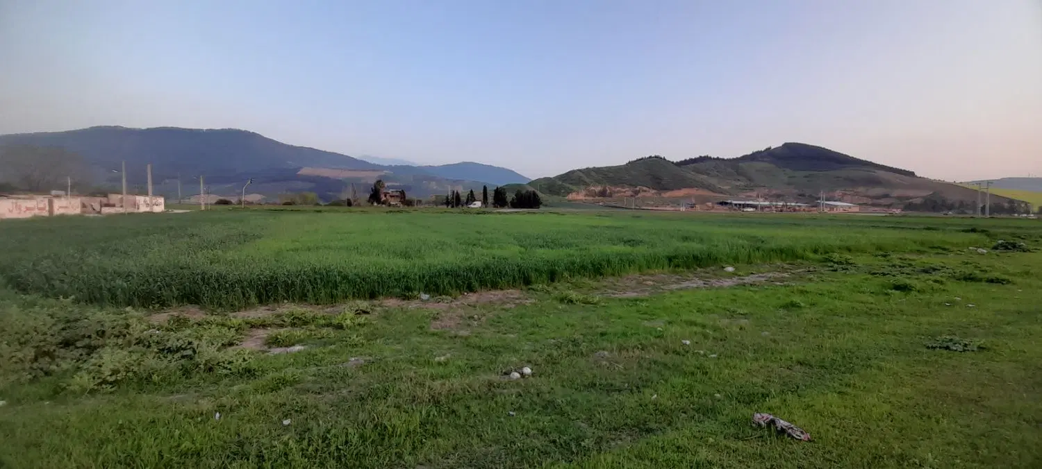 زمین کشاورزی شالی زمین متراژ 5000 متر