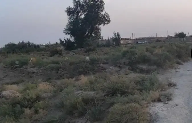 زمین چهار هزار مترسنددار روستای طاغذی(زندان زابل)