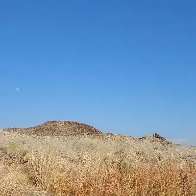 زمین زوران