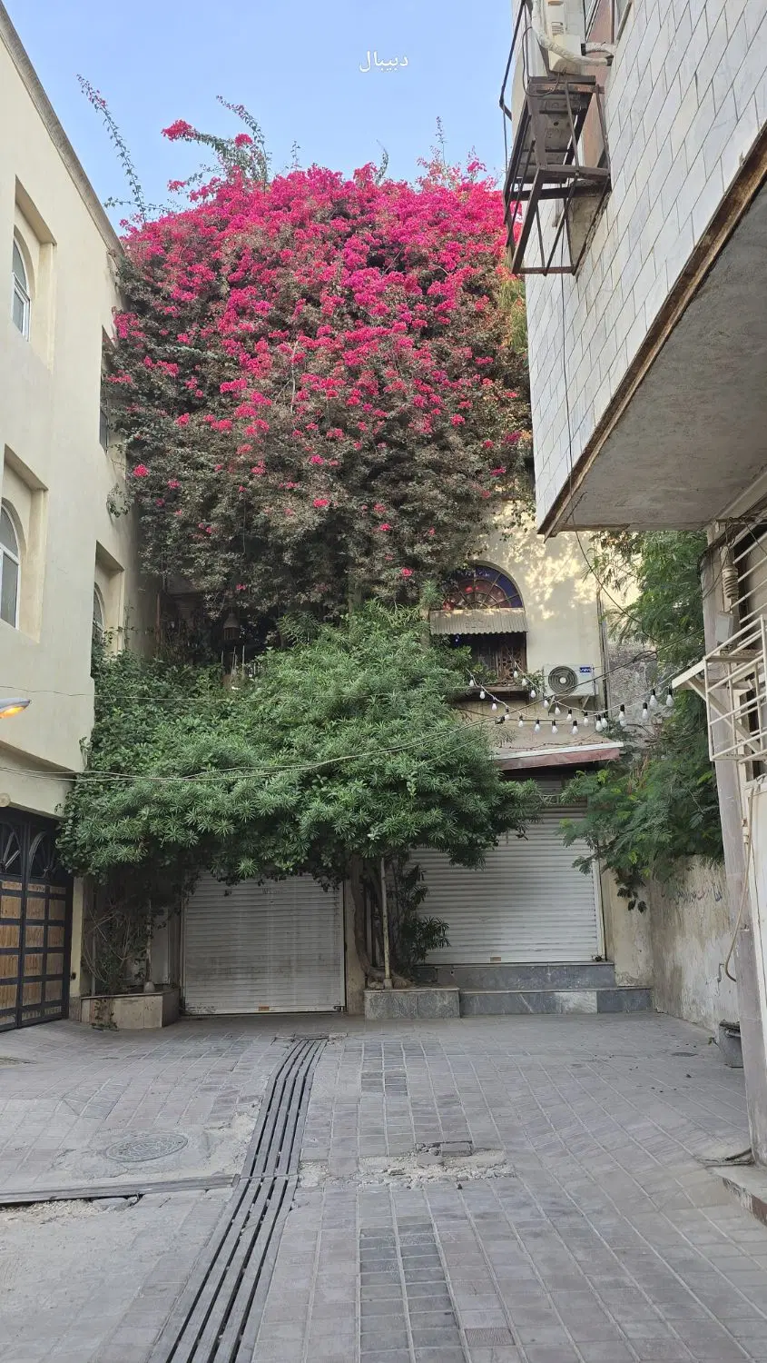 فروش زمین