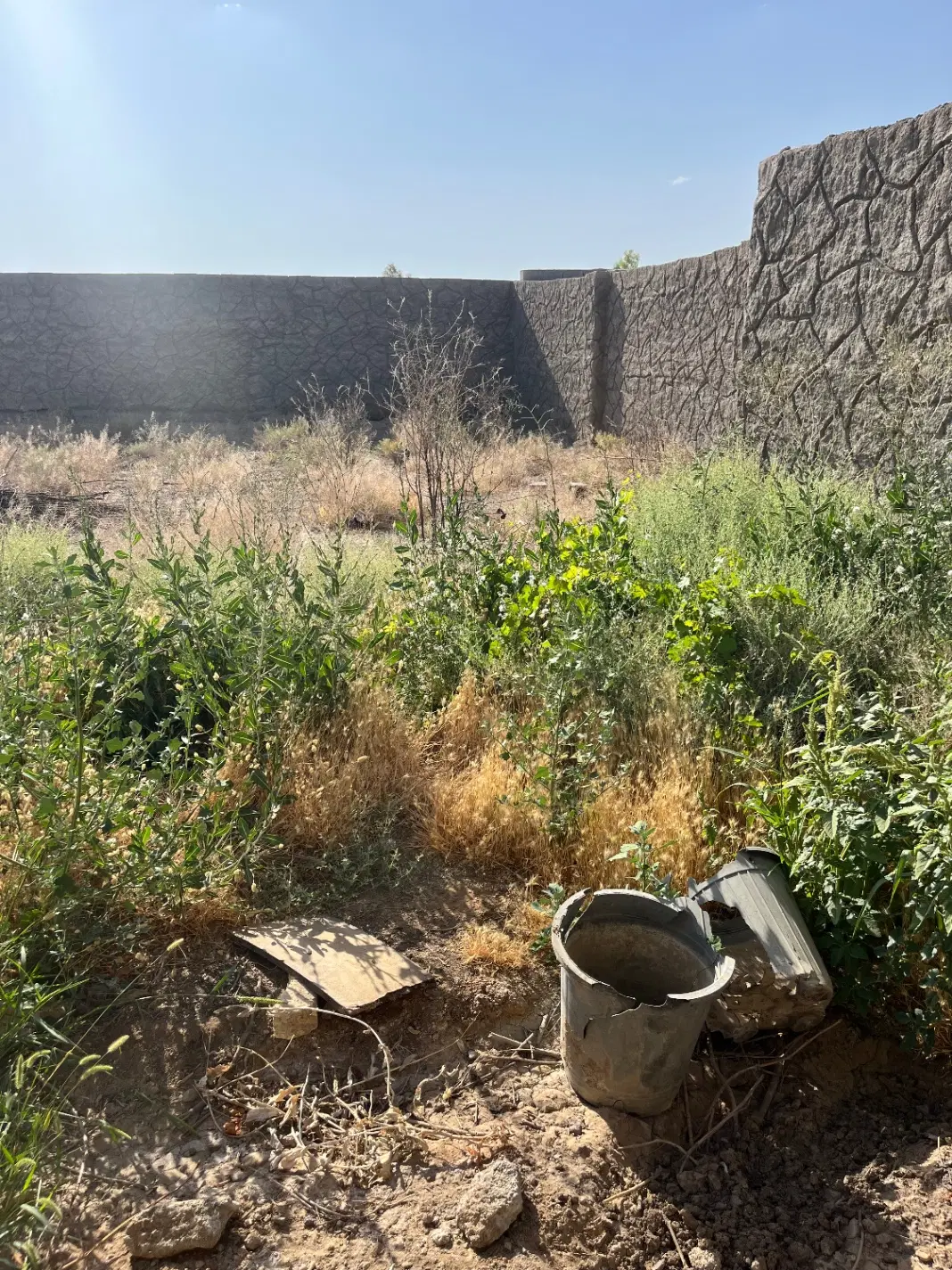 باغ