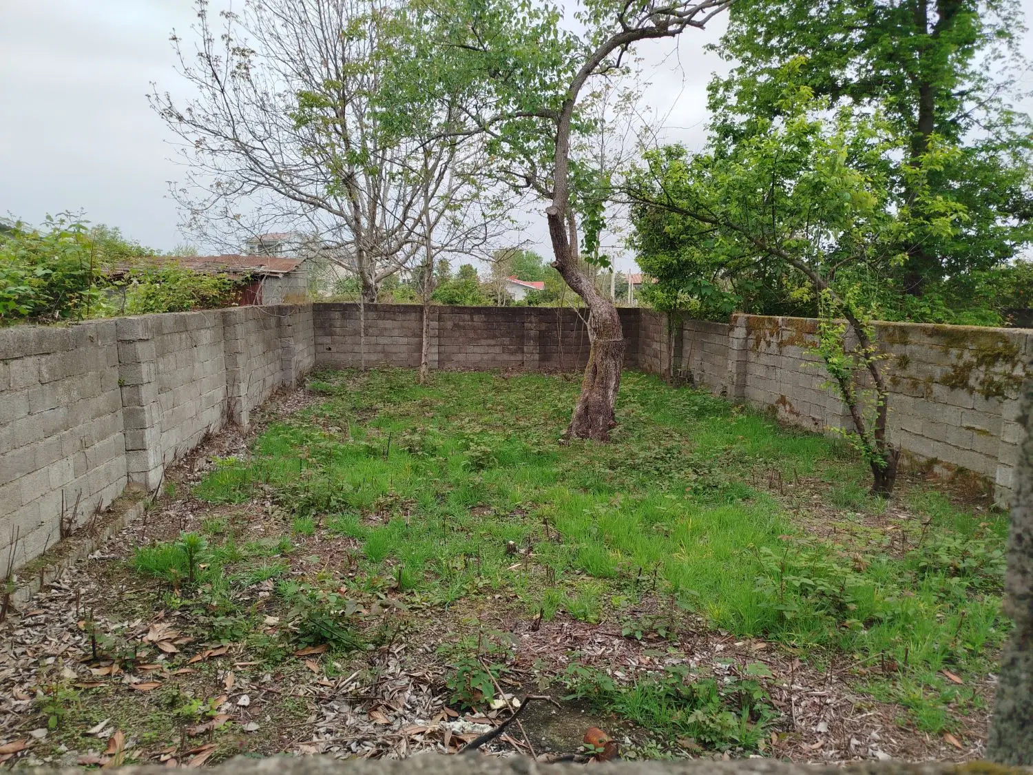 زمین مسکونی در مرکز شهر کومله