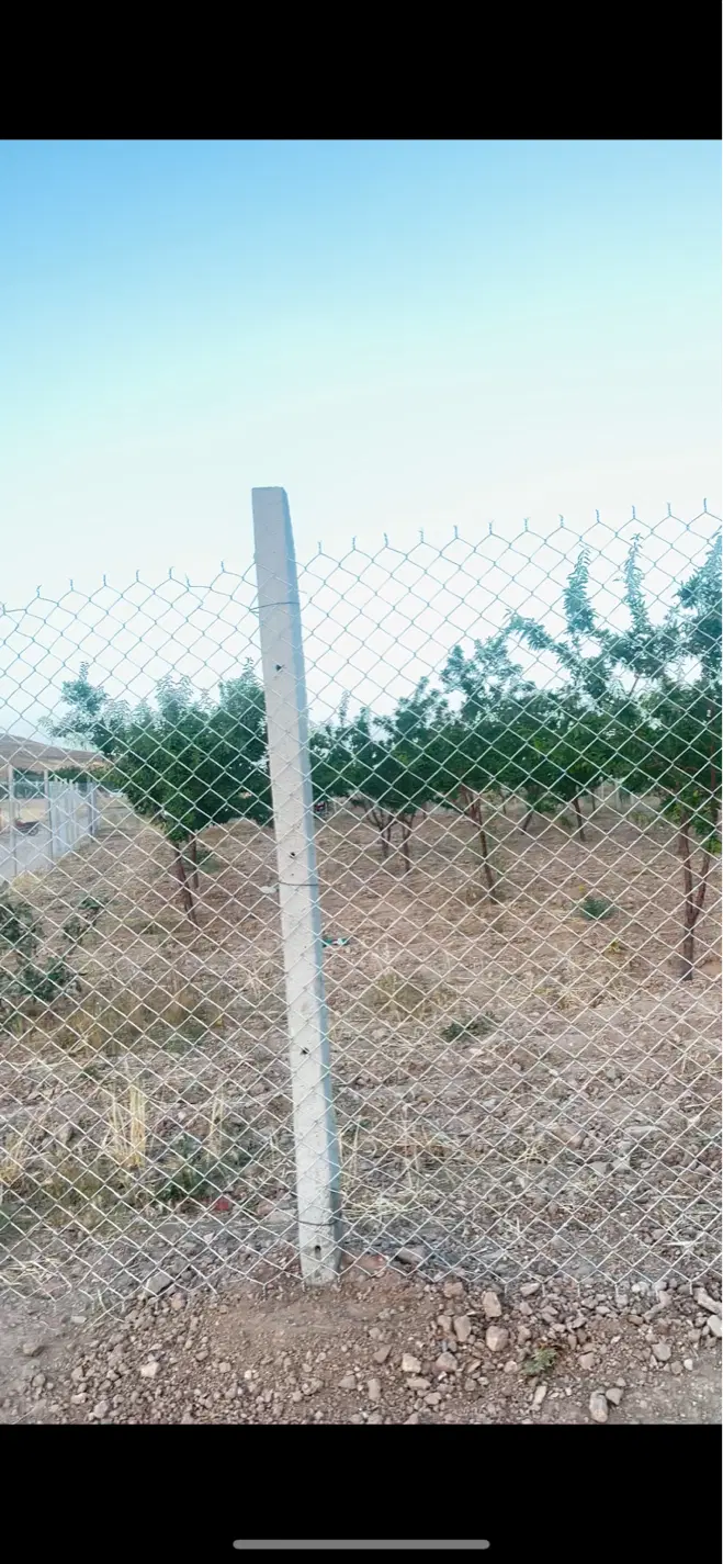 باغ کورانه رشتقون گلسار زعفرانیه