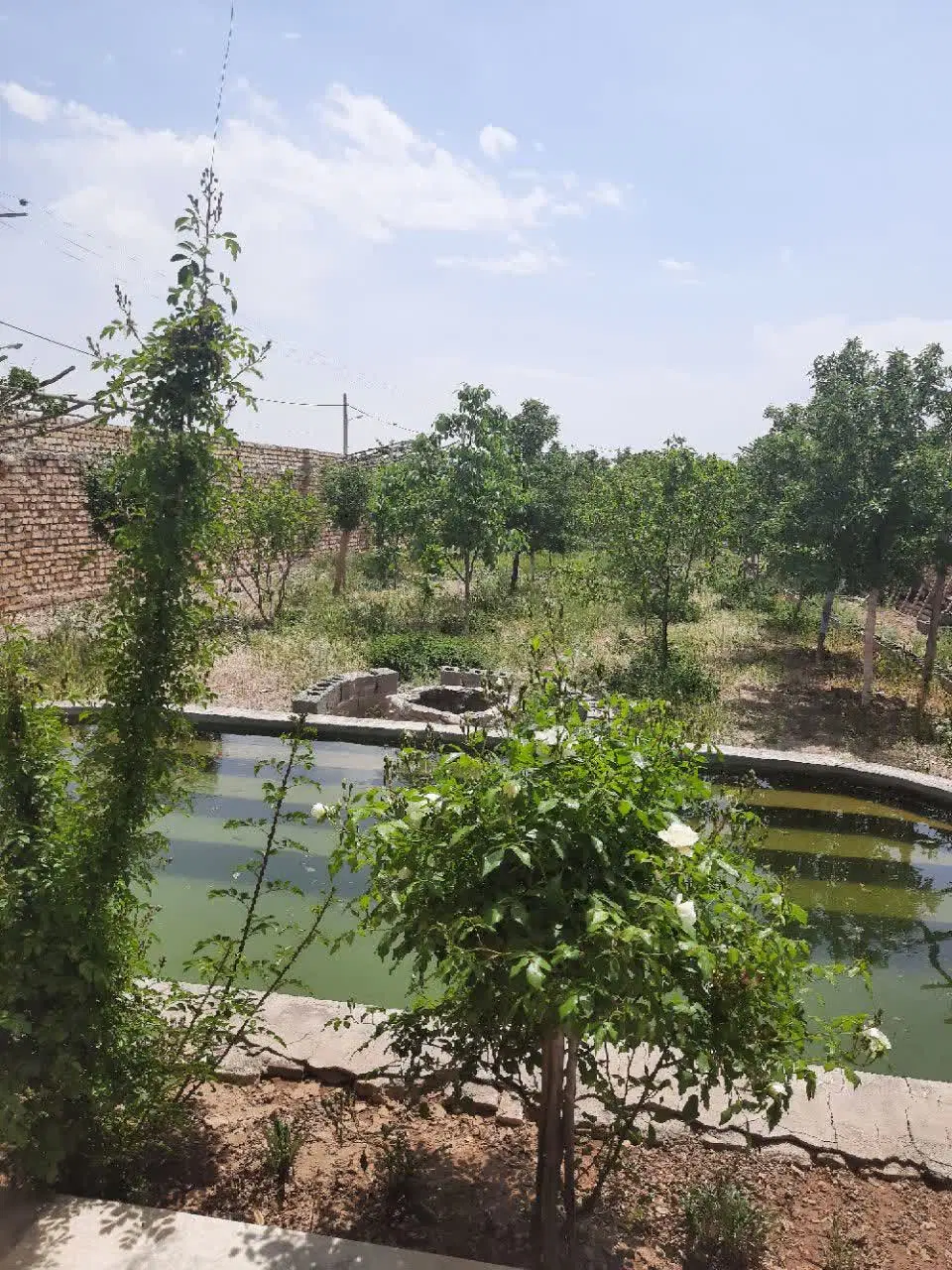 زمین روستای بالای نیاسر کاشان قسطی