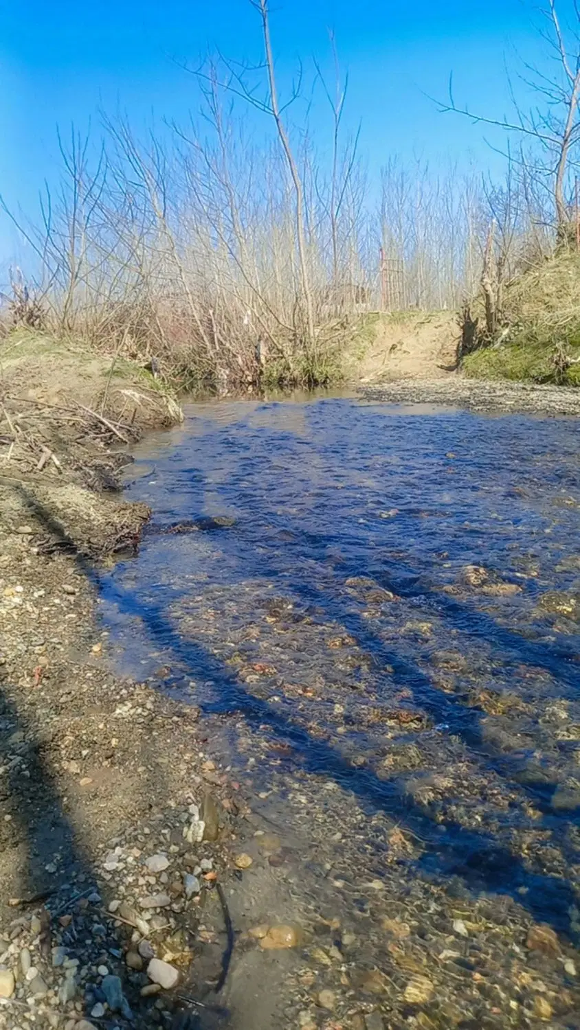 یک ویلای دوخوابه جنگلی با تمام امکانات
