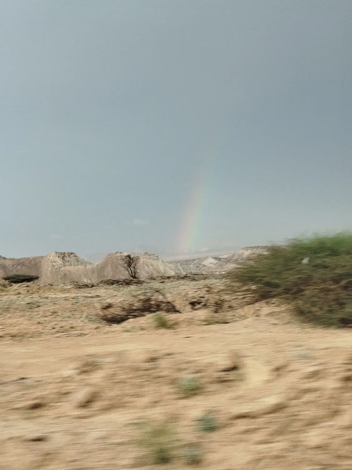 فروش زمین بدون واسطه روستای جهانی سهیلی