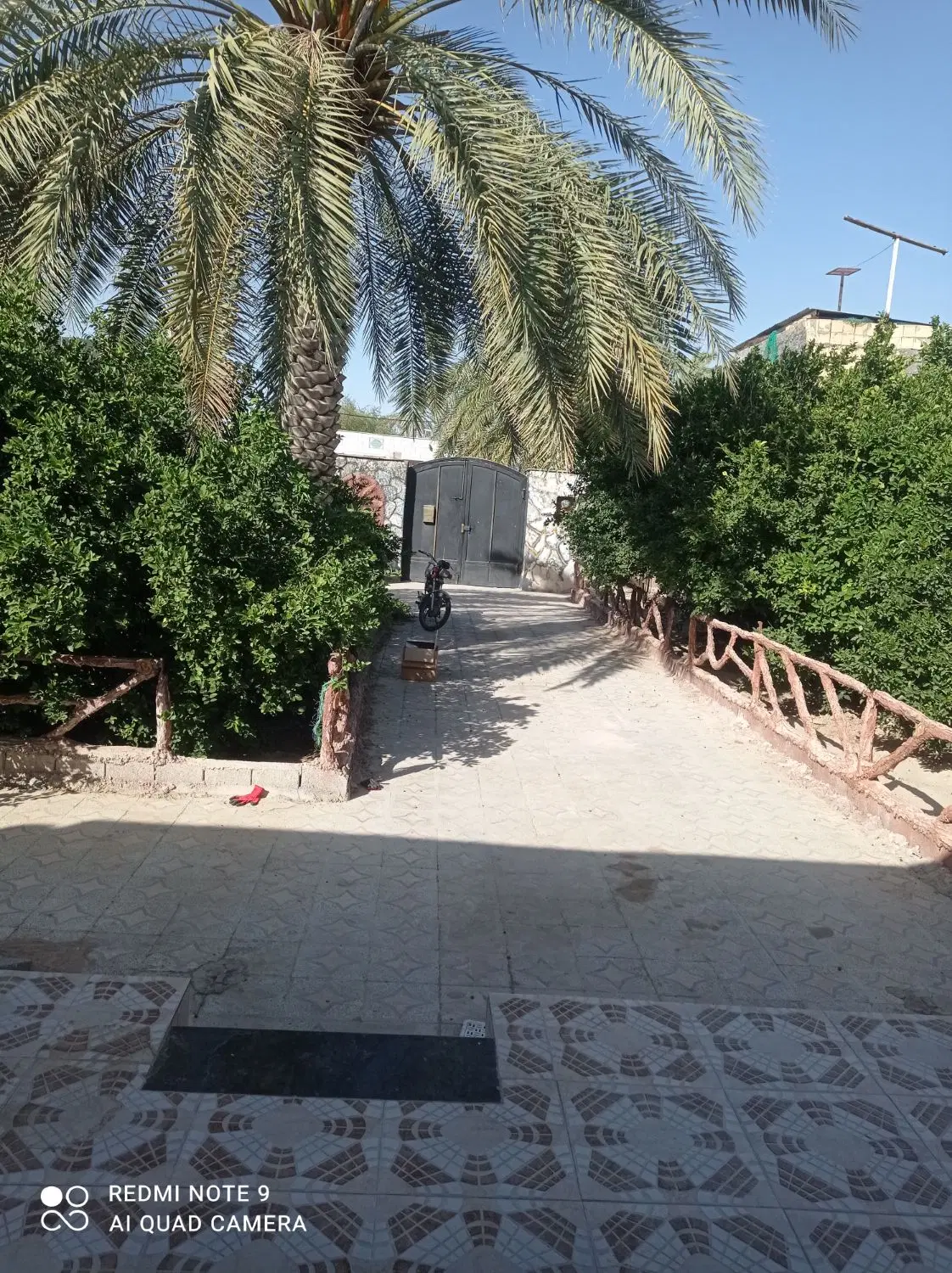 روستای محمد صالحی