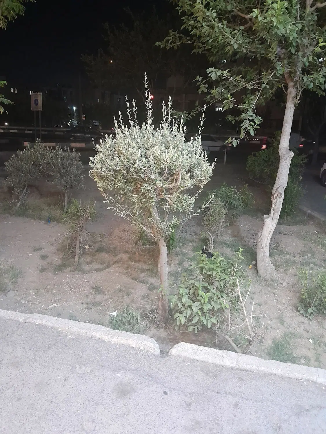 زمین مسکونی  تیدجان