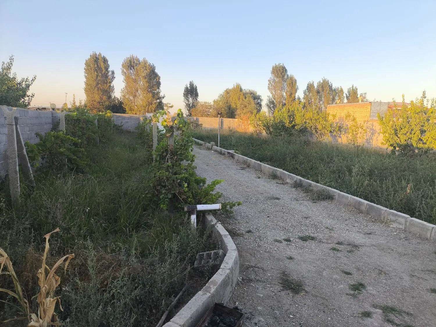 باغ 1000 متری (قابل معاوضه با خانه یا خودرو)
