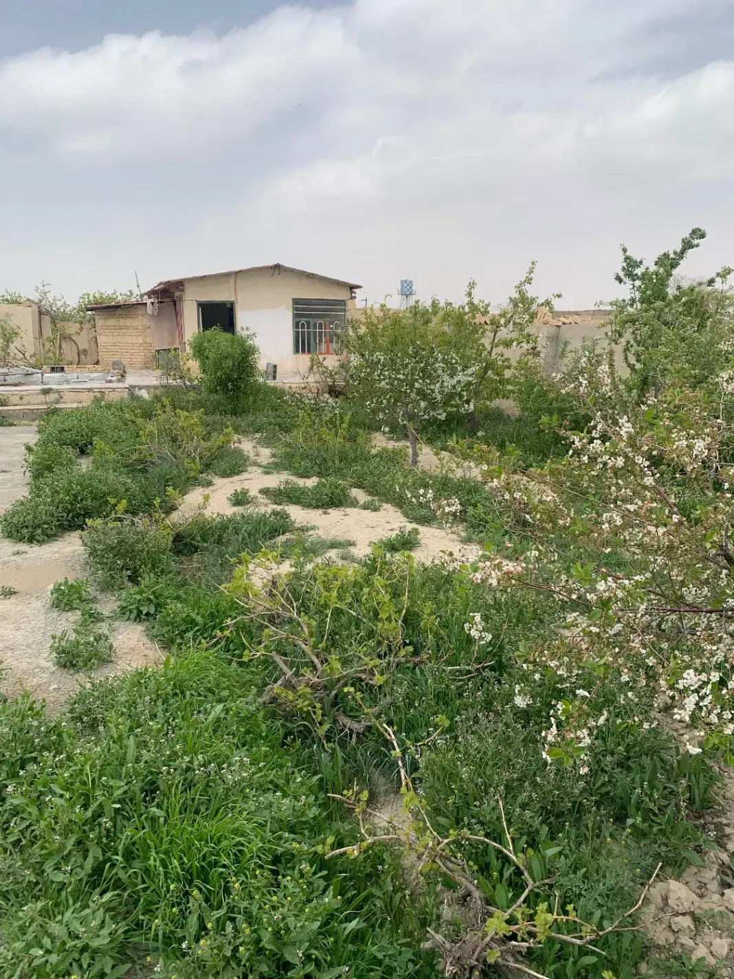 باغ