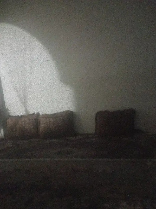 دو اتاق برای رهنواجاره