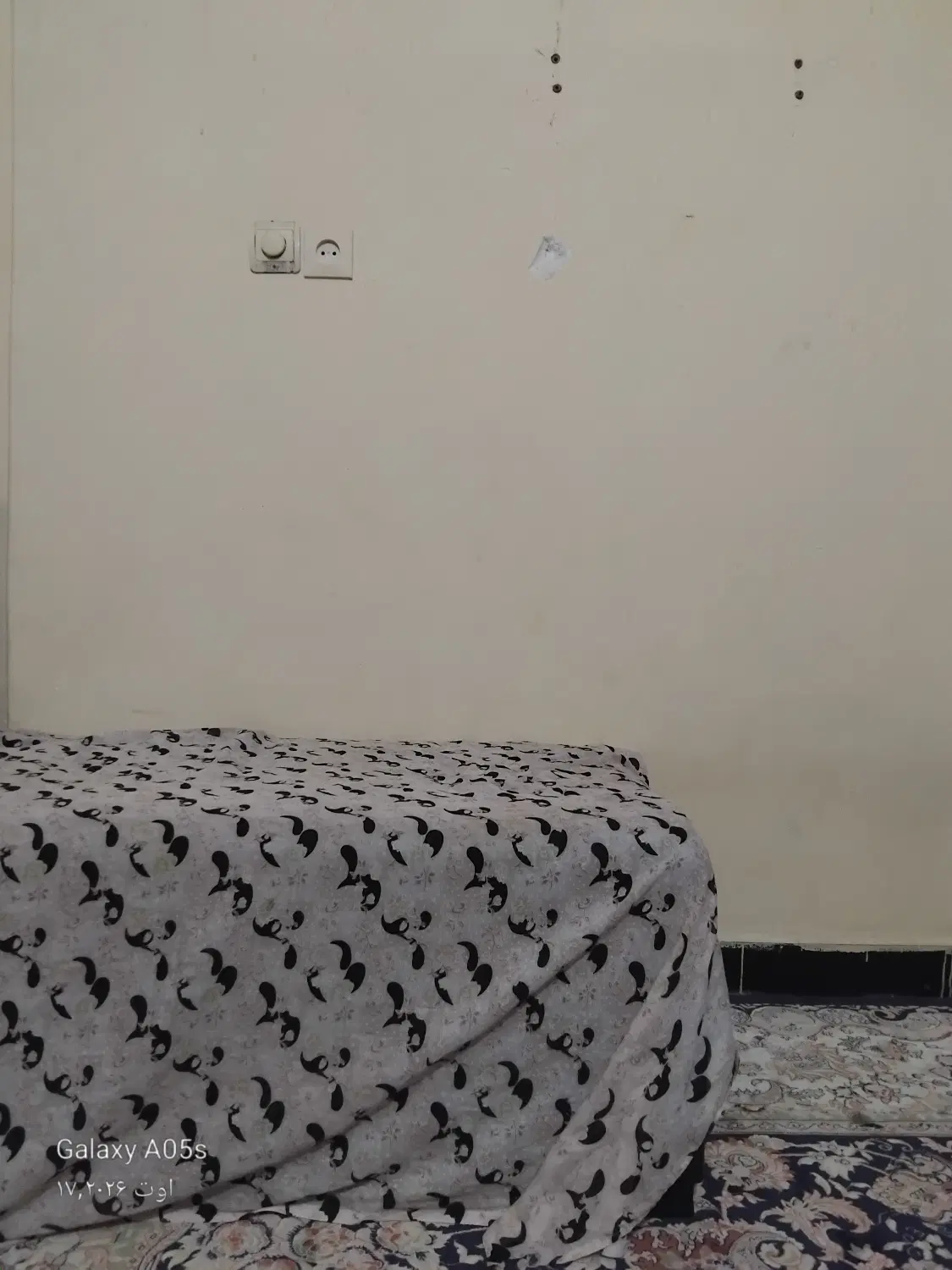 اجاره به خانم ۴۰ سال