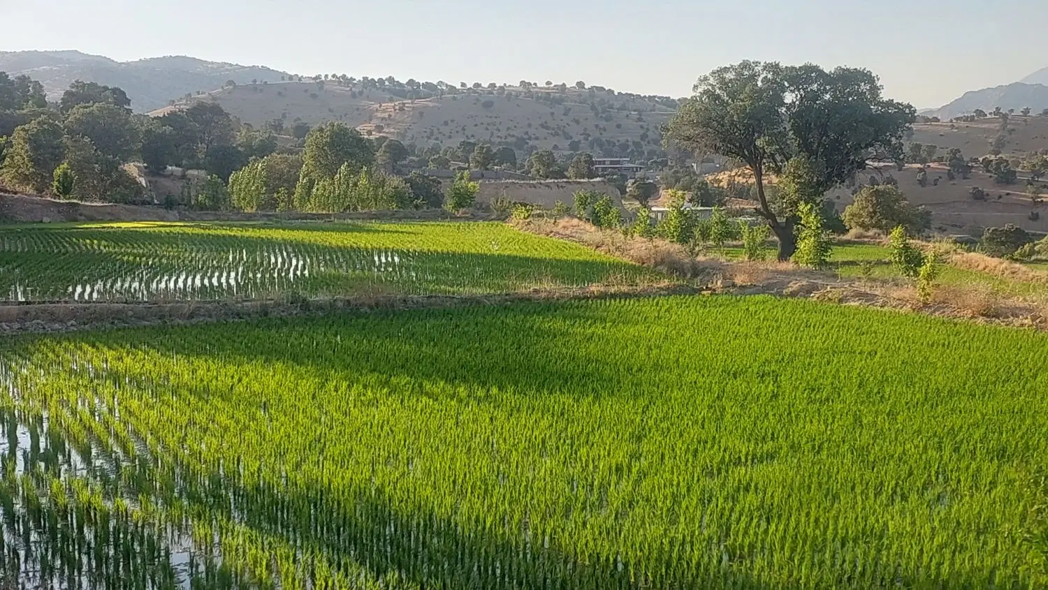 زمین آب فاضلاب خیابان ۱۲ متری