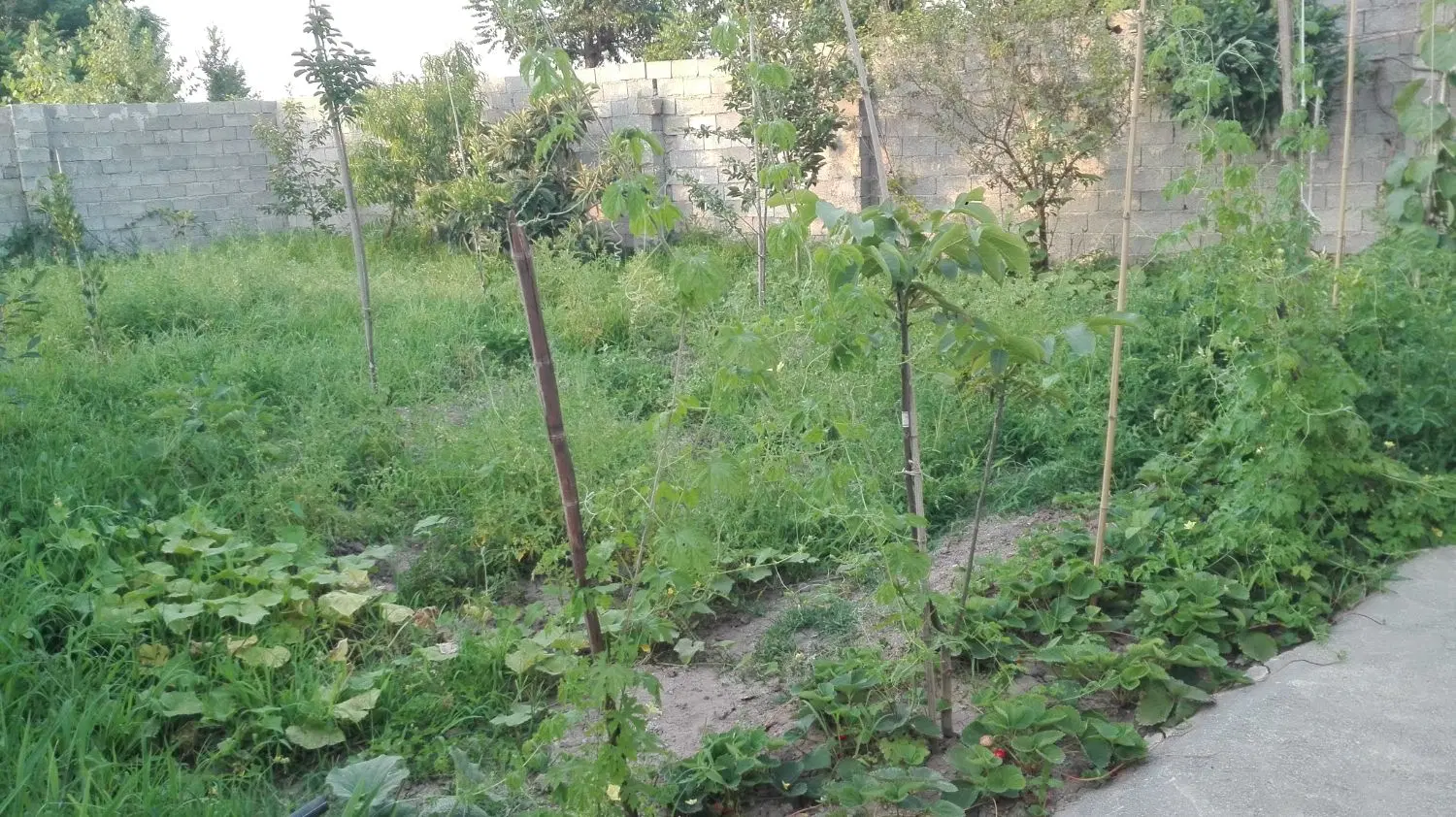 خانه ویلایی