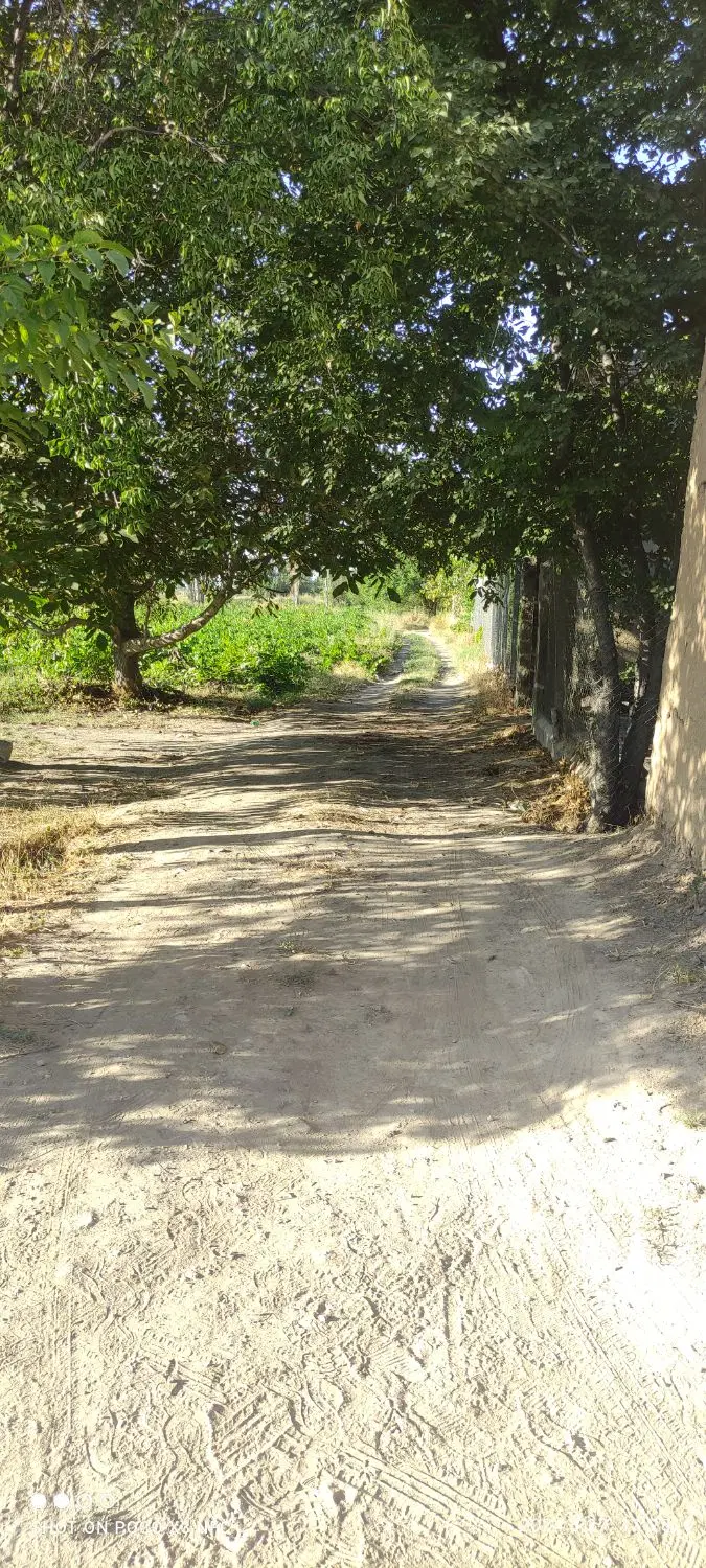 باغ انگور و باغچه دربوراشان