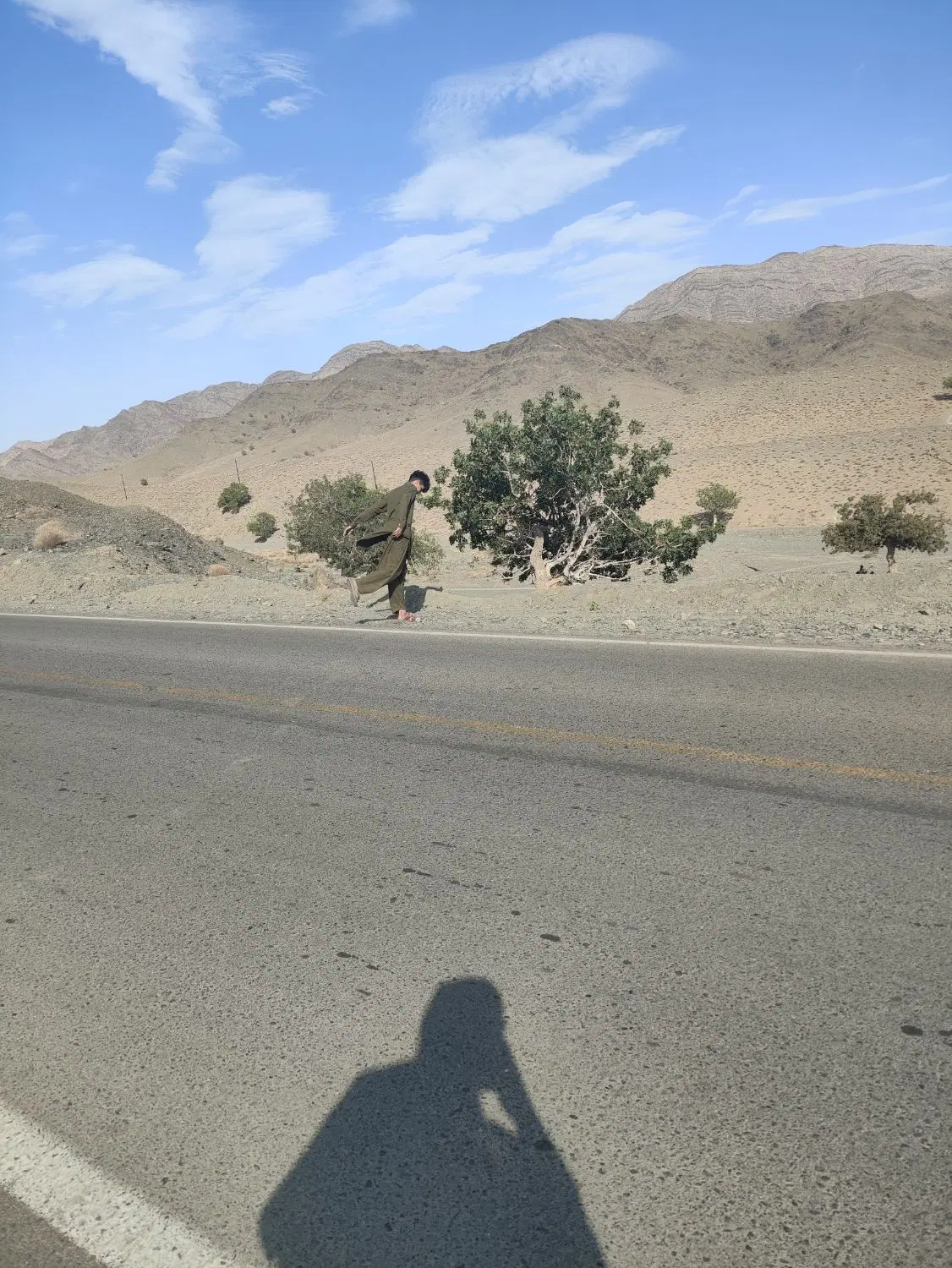 زمین دادگستری