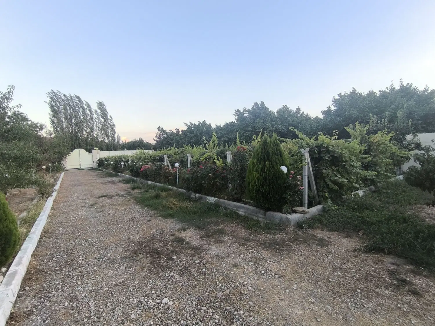 باغ ایستاده 1550متر بر امام زاده ریکان