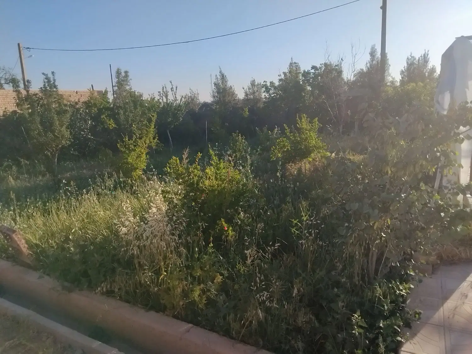فروش باغچه