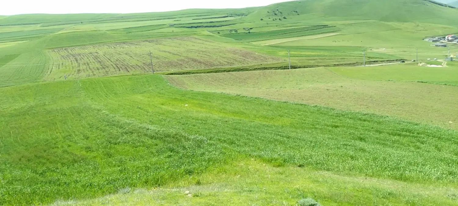 فروش زمین