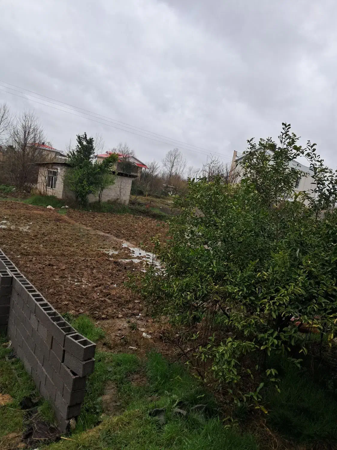زمین با سند مسکونی قابلیت ساخت ویلا