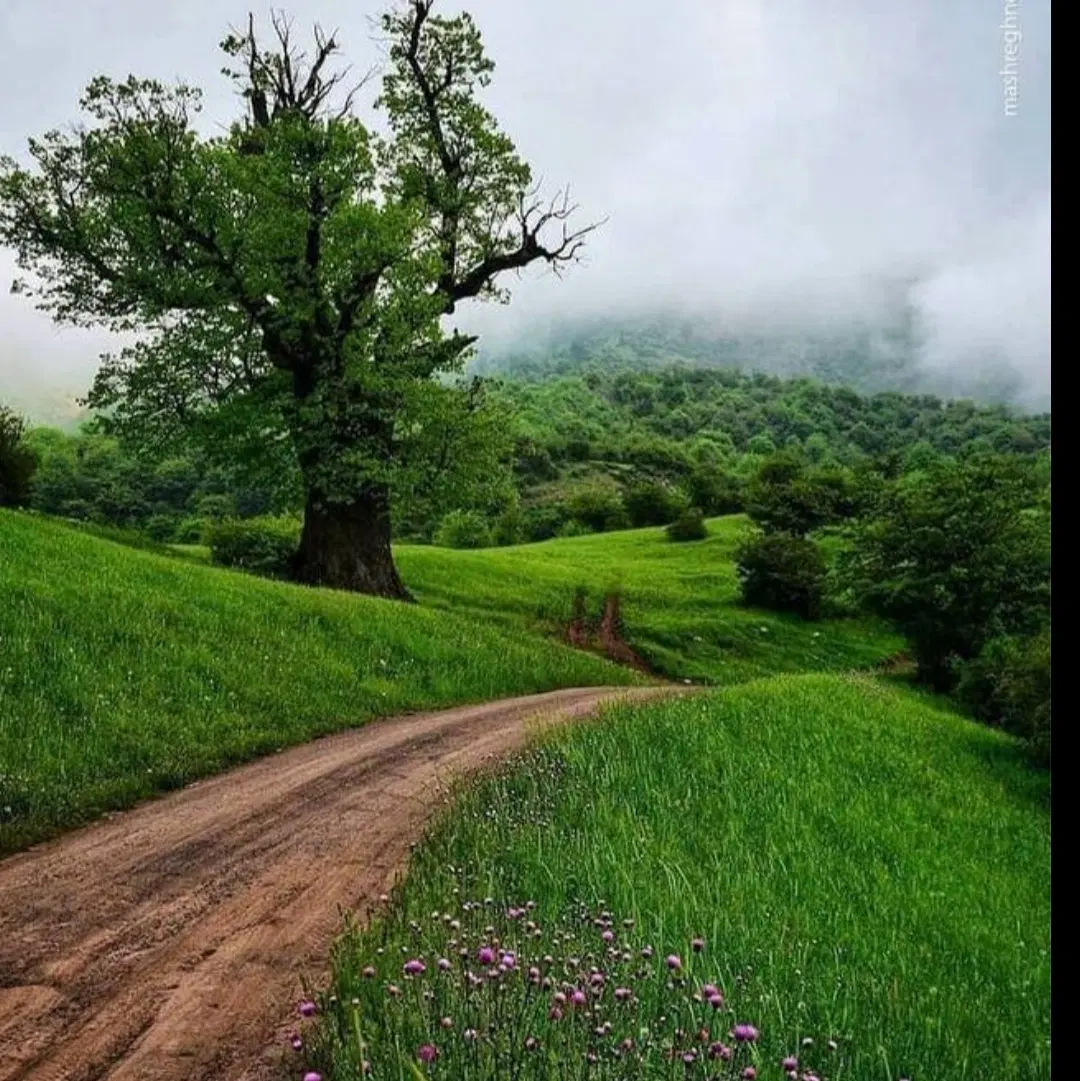 زمین تفریحی