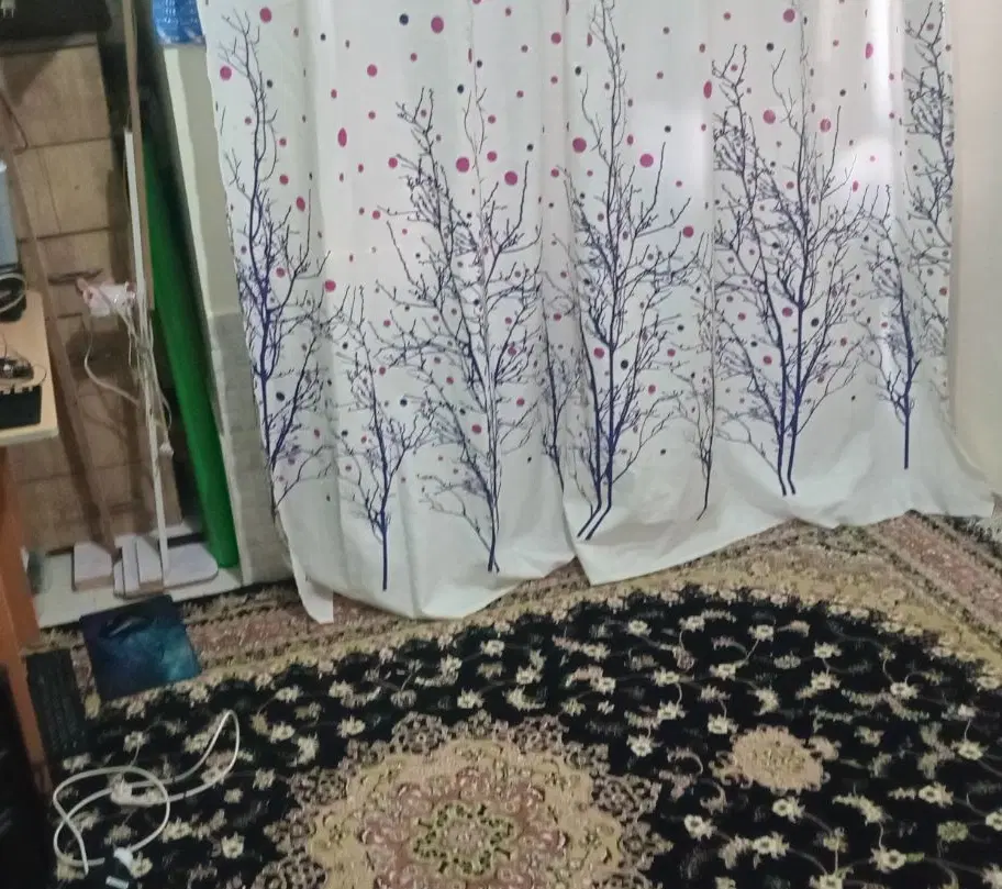 همخانه