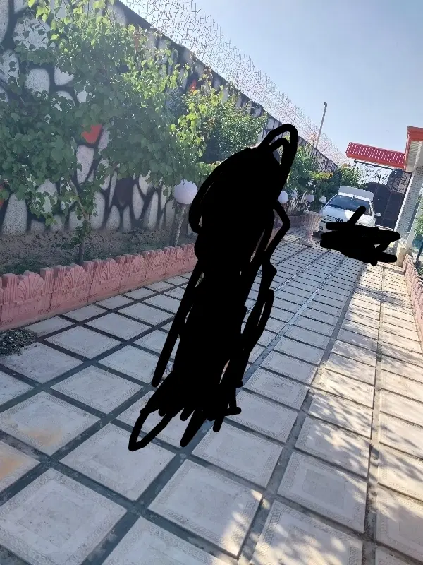 همخونه خانوم