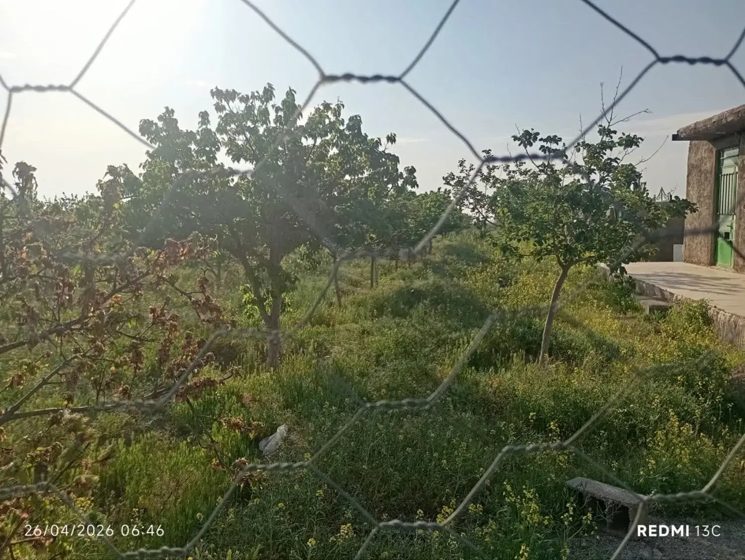 فروش باغ