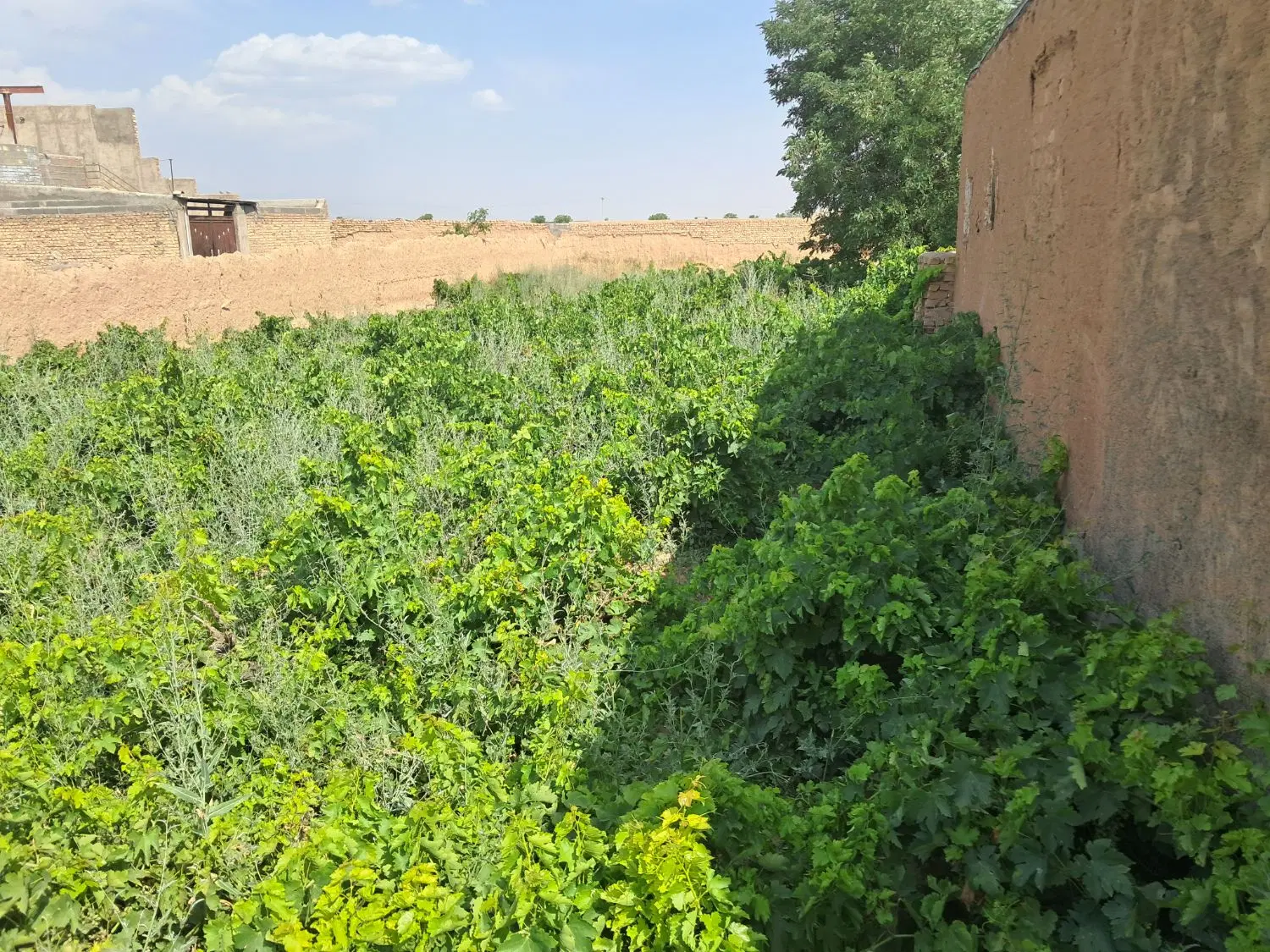 فروش خانه قدیمی با تمام امکانات