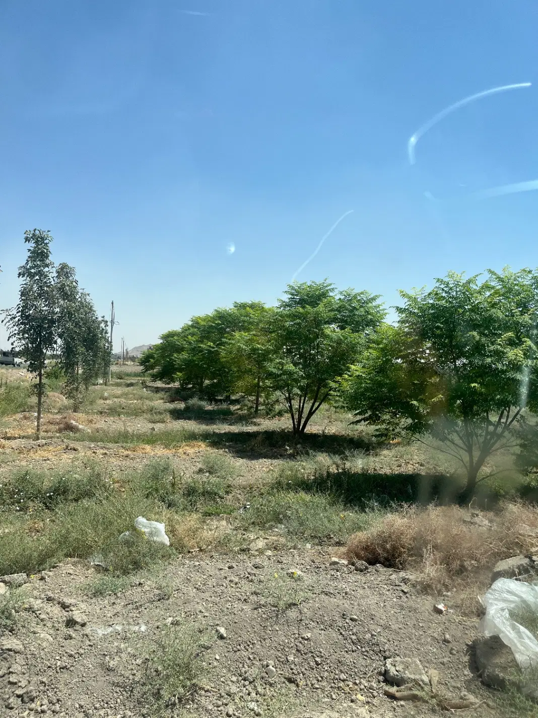 ۴ جریب زمین درخت کاری شده لب خط هفشویه