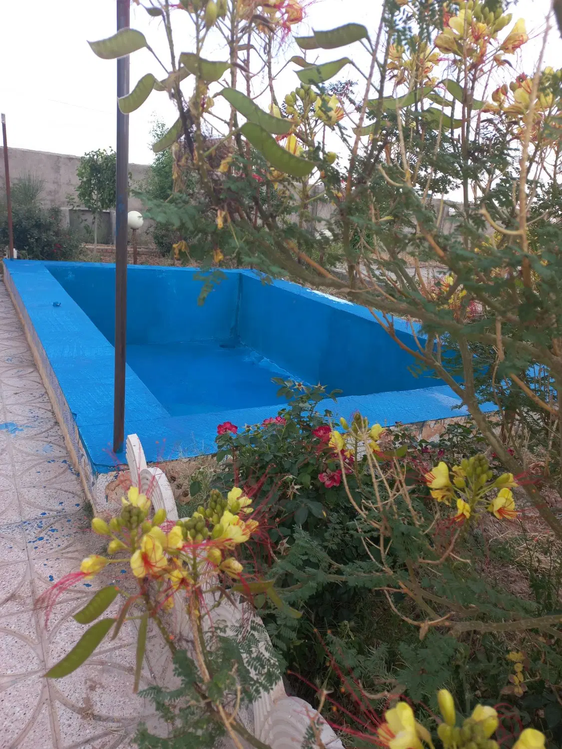 باغ ویلا