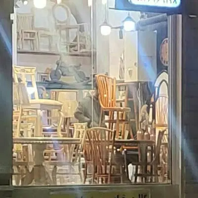 مغازه پل قویون