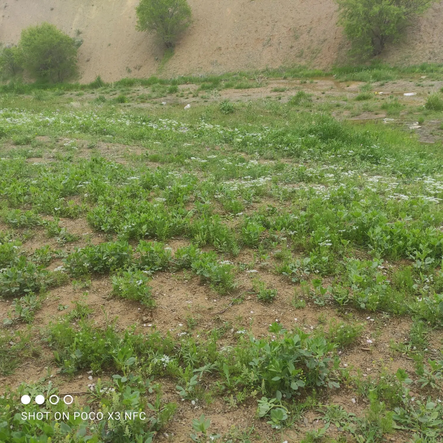 زمین مسکونی 104متری