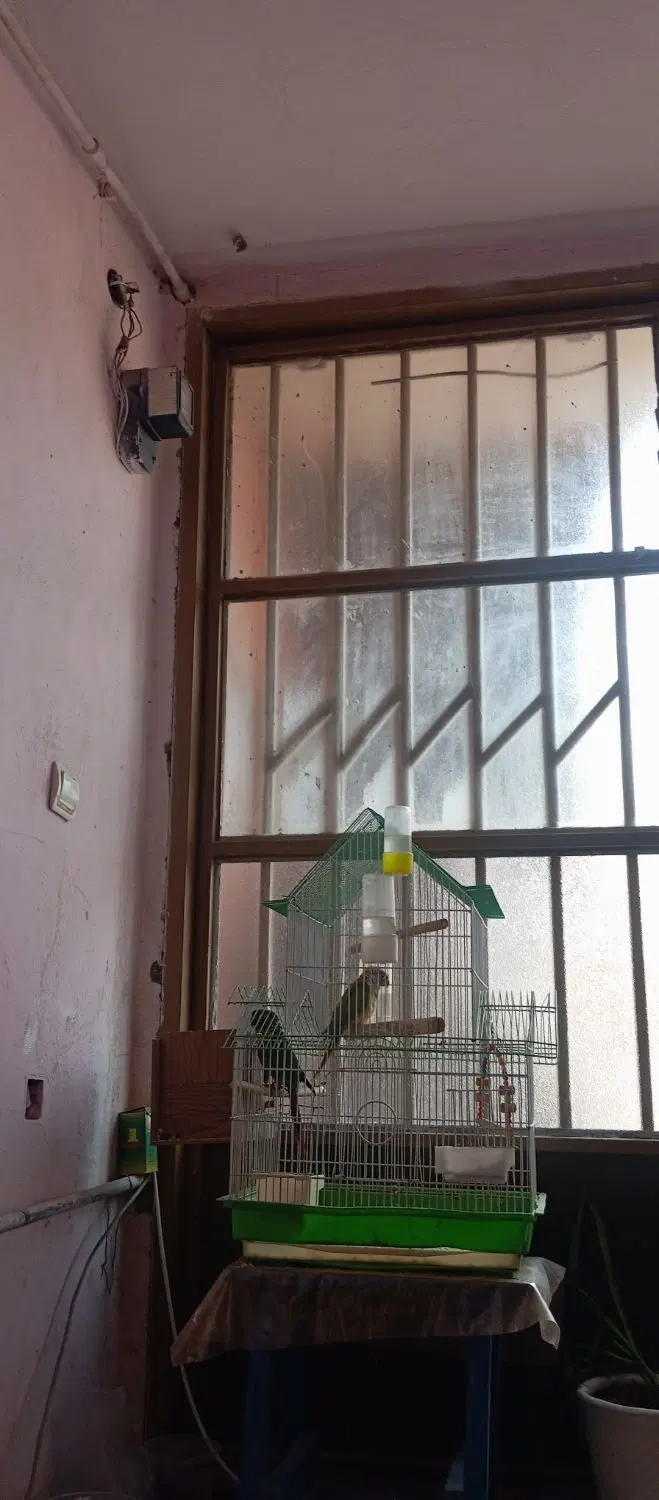 اجاره اتاق 18 متری